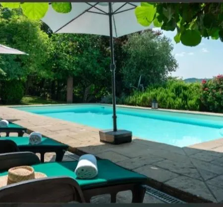 Belvedere Montevarchi