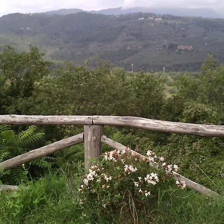 Nyaraló Belvedere *