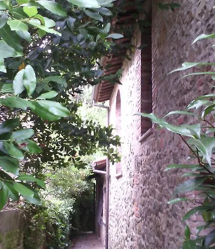 Tatil Evi Belvedere *