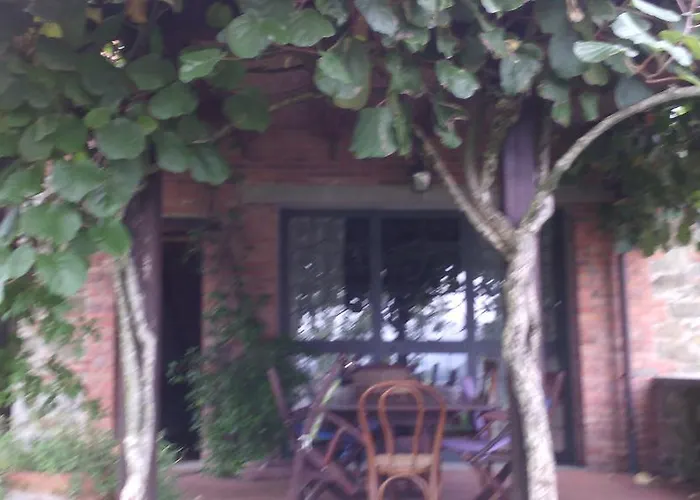 Belvedere * Montevarchi