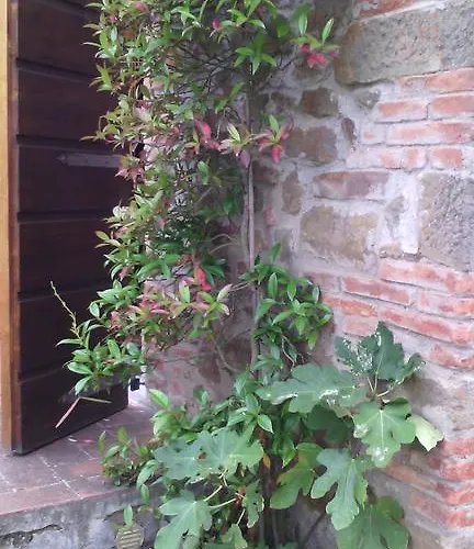 Tatil Evi Belvedere Montevarchi