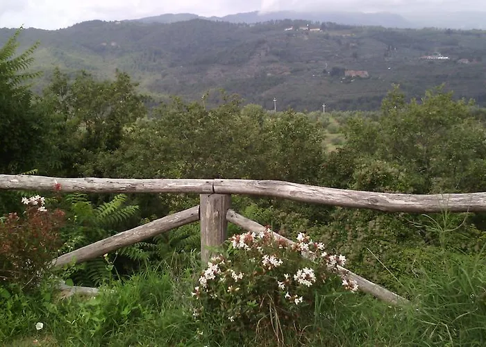 Tatil Evi Belvedere *